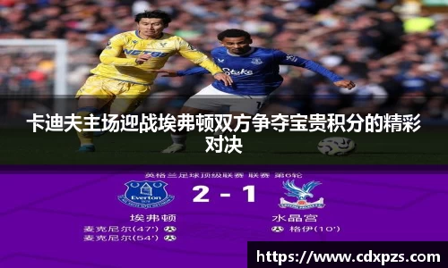 卡迪夫主场迎战埃弗顿双方争夺宝贵积分的精彩对决